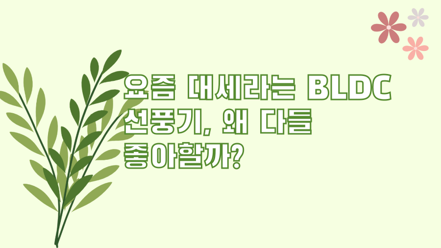 요즘 대세라는 BLDC 선풍기, 왜 다들 좋아할까?