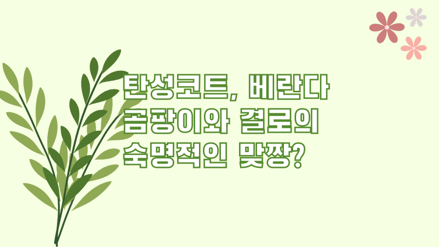 탄성코트, 베란다 곰팡이와 결로의 숙명적인 맞짱?