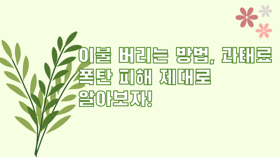 이불 버리는 방법, 과태료 폭탄 피해 제대로 알아보자!