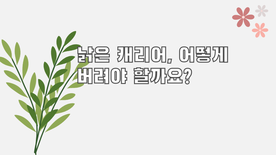 낡은 캐리어, 어떻게 버려야 할까요?