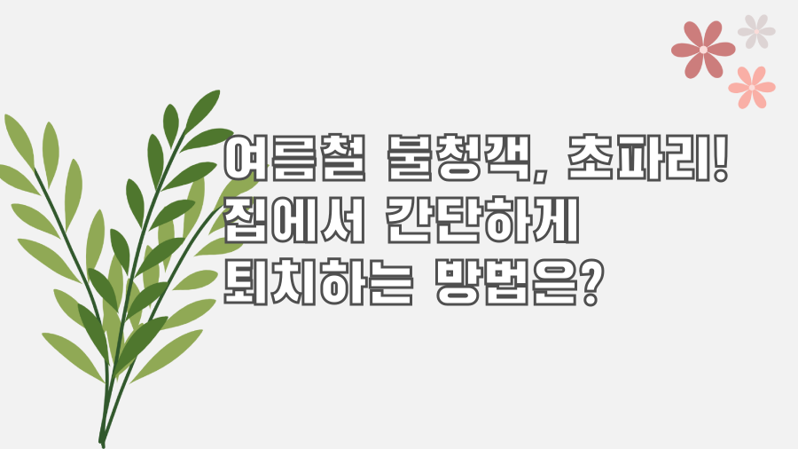 여름철 불청객, 초파리! 집에서 간단하게 퇴치하는 방법은?
