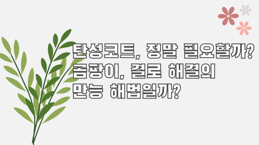 탄성코트, 정말 필요할까? 곰팡이, 결로 해결의 만능 해법일까?