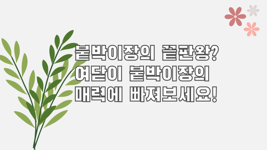 붙박이장의 끝판왕? 여닫이 붙박이장의 매력에 빠져보세요!