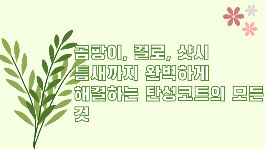 곰팡이, 결로, 샷시 틈새까지 완벽하게 해결하는 탄성코트의 모든 것
