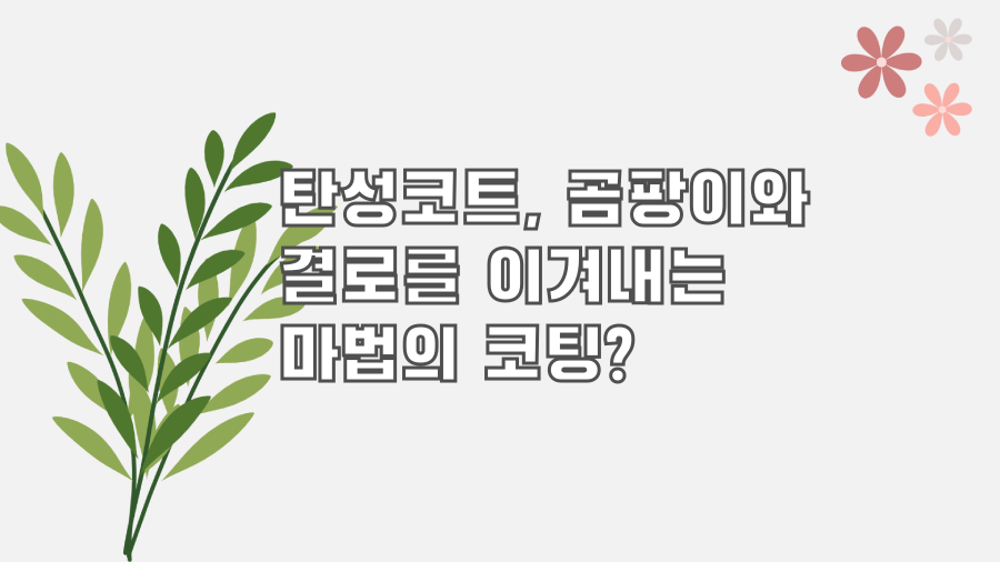 탄성코트, 곰팡이와 결로를 이겨내는 마법의 코팅?