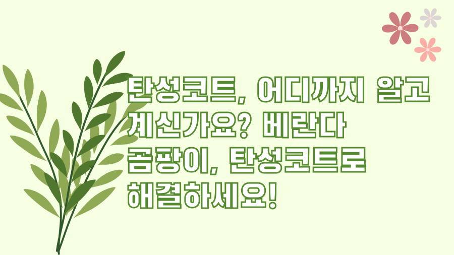 탄성코트, 어디까지 알고 계신가요? 베란다 곰팡이, 탄성코트로 해결하세요!
