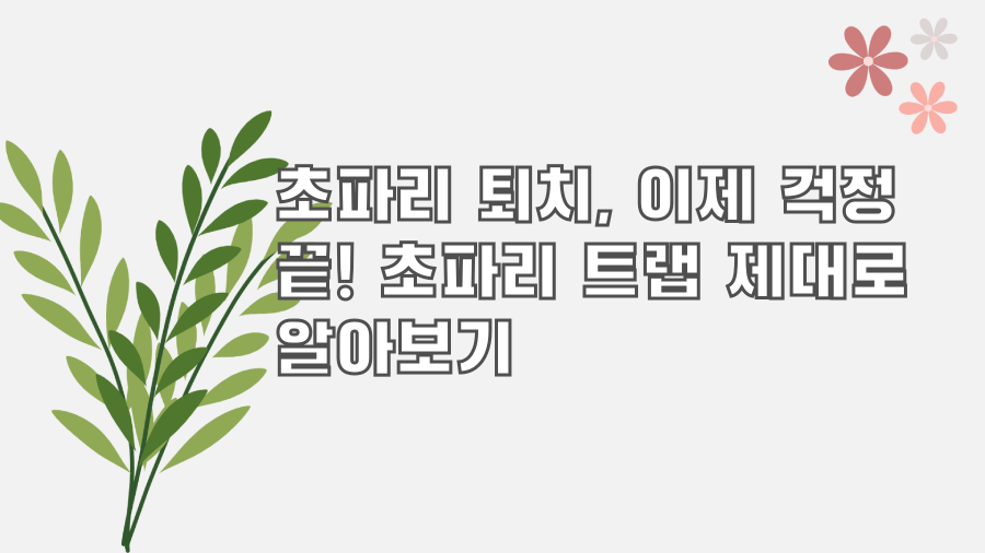 초파리 퇴치, 이제 걱정 끝! 초파리 트랩 제대로 알아보기