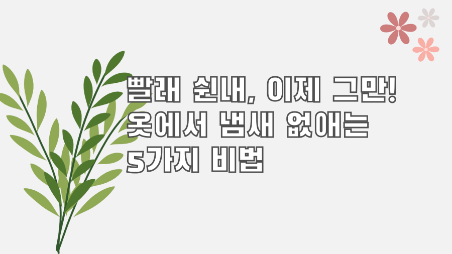 빨래 쉰내, 이제 그만! 옷에서 냄새 없애는 5가지 비법