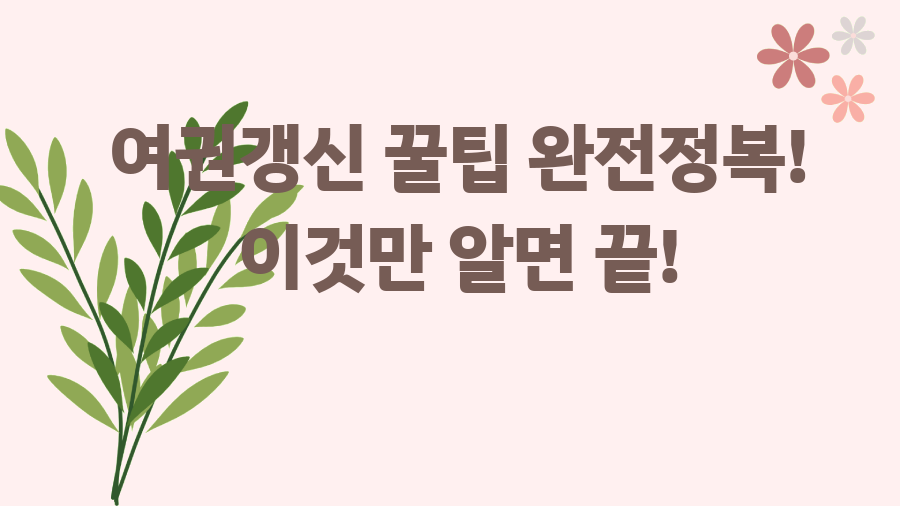 여권갱신 꿀팁 완전정복! 이것만 알면 끝!