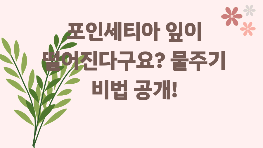 포인세티아 잎이 떨어진다구요? 물주기 비법 공개!