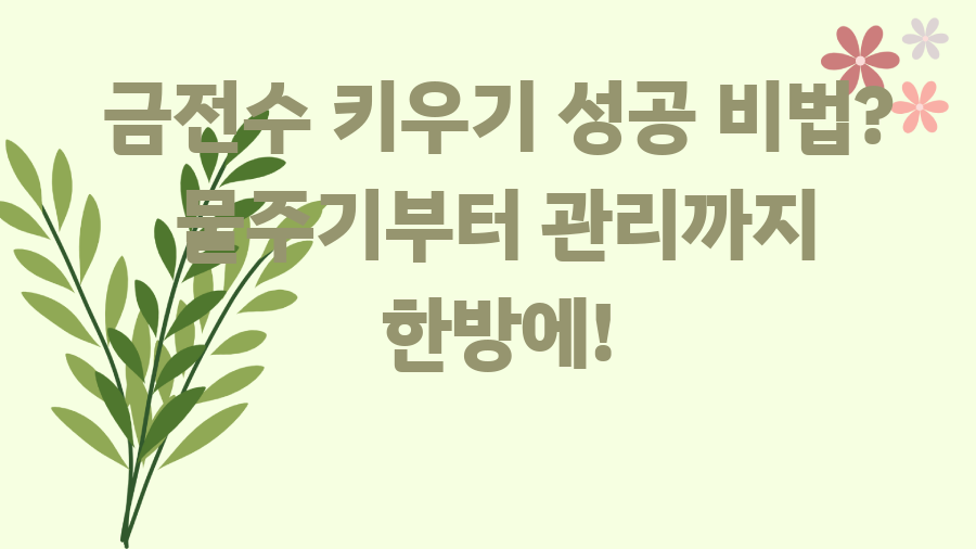 금전수 키우기 성공 비법? 물주기부터 관리까지 한방에!