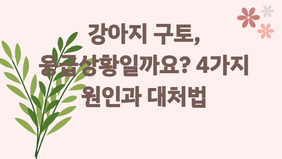 강아지 구토, 응급상황일까요? 4가지 원인과 대처법