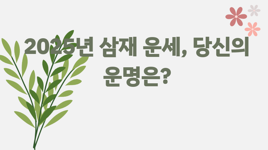 2025년 삼재 운세, 당신의 운명은?