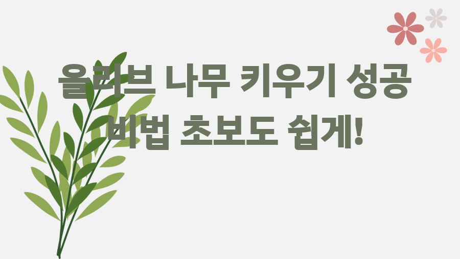 올리브 나무 키우기 성공 비법 초보도 쉽게!