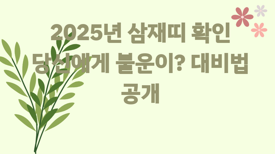2025년 삼재띠 확인 당신에게 불운이? 대비법 공개