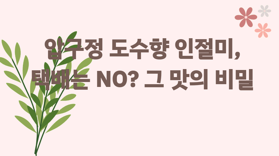 압구정 도수향 인절미, 택배는 NO? 그 맛의 비밀