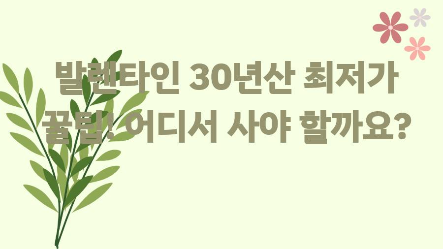 발렌타인 30년산 최저가 꿀팁! 어디서 사야 할까요?