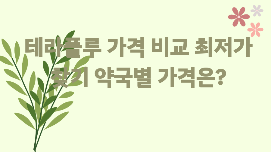 테라플루 가격 비교 최저가 찾기 약국별 가격은?