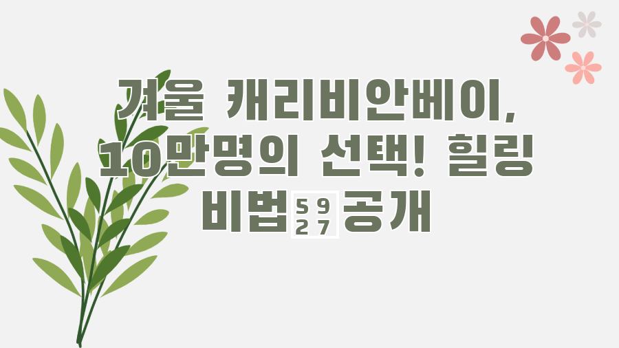 겨울 캐리비안베이, 10만명의 선택! 힐링 비법大공개