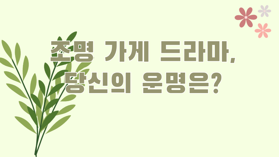 조명 가게 드라마, 당신의 운명은?